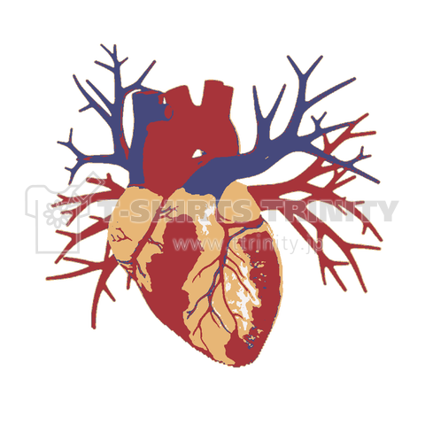 『心臓 人体 内臓 人体図 ホラー 解剖図 環状動脈 ハート ハツ 心房心室 看護学校 心筋梗塞』Tシャツ