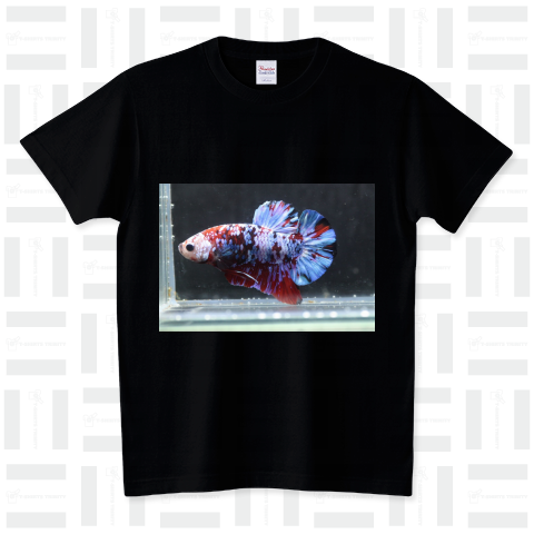 カラフルなベタTシャツ 熱帯魚  鯉ベタ プラカット