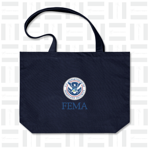 FEMA logo