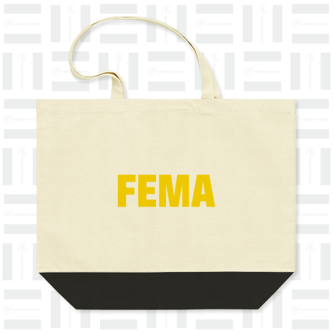 FEMA