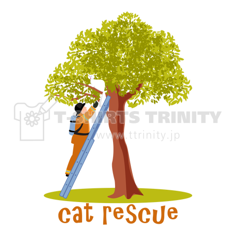cat rescue