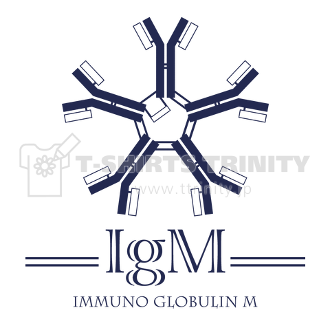 免疫グロブリンM(IgM)