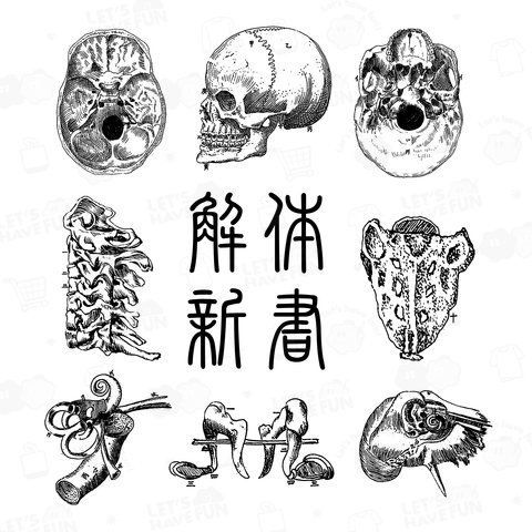 解体新書(背面)