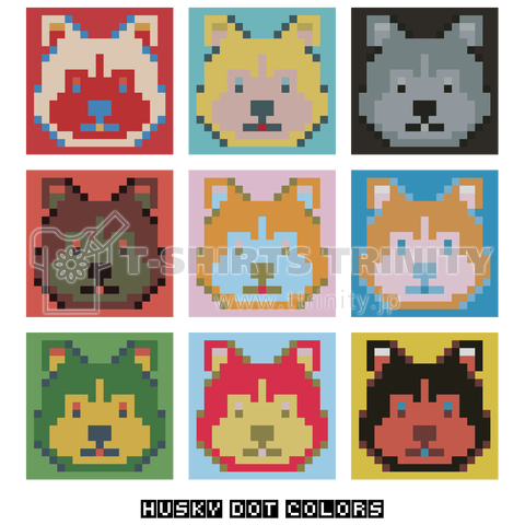 HUSKY DOT COLORS