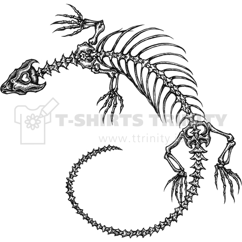 トカゲの骨格標本