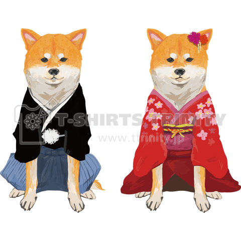 袴と着物の芝犬