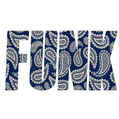 F​U​N​K​-​T​ ​ ​ペ​イ​ズ​リ​ー BLUE