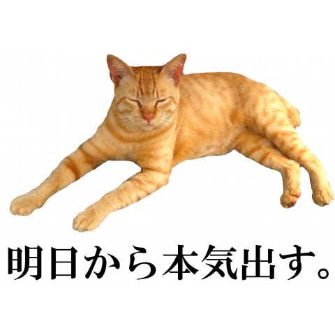 猫「明日から本気出す」