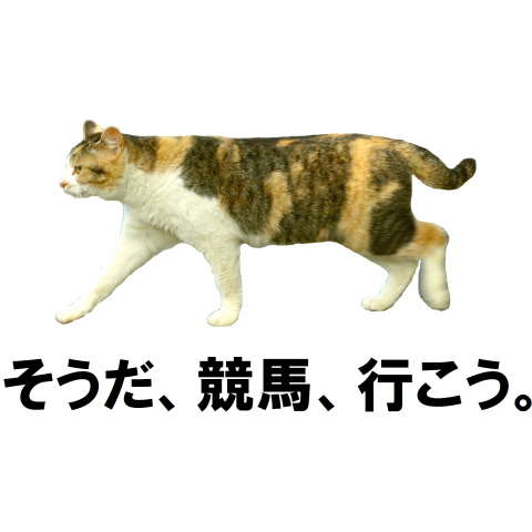 猫「そうだ、競馬、行こう。」