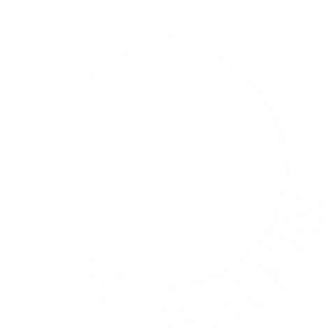 EARTH WALKER