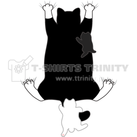 猫をさがしています(親子ぽっちゃりネコ)靴下猫