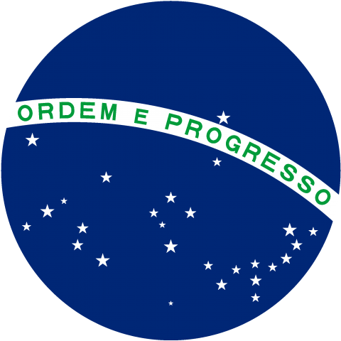 Ordem E Progresso ブラジル国旗の天球儀 地球儀 宇宙 星座 星空 サッカー 日本 南十字星 宇宙 時事 絵 ボール サンバ Soccer かわいい カワイイ 可愛い シンプル ロゴ デザインtシャツ通販 Tシャツトリニティ