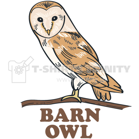 Barn Owl メンフクロウ デザインtシャツ通販 Tシャツトリニティ