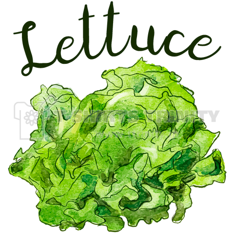 Lettuce レタス デザインtシャツ通販 Tシャツトリニティ
