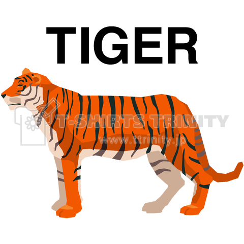 TIGER-虎-