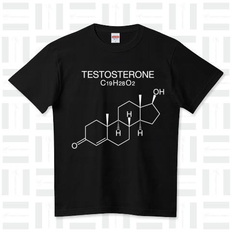 TESTOSTERONE C19H28O2-テストステロン-白ロゴ