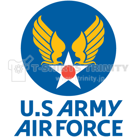 U.S ARMY AIR FORCE