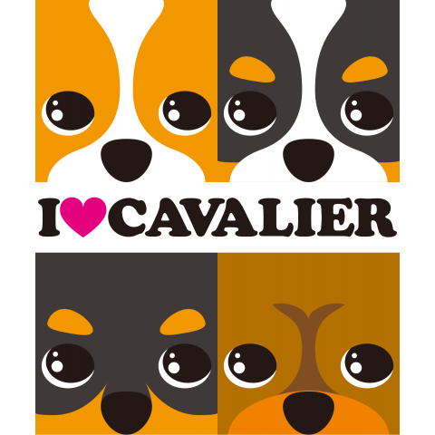 I ♥ cavalier