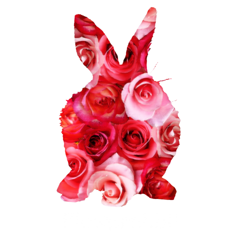 FlowerRabbit