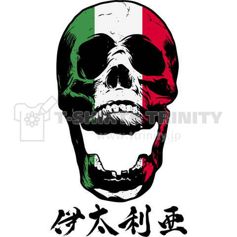 Italy Flag Skull イタリア国旗 デザインtシャツ通販 Tシャツトリニティ