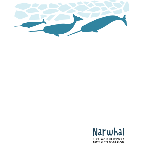 narwhal