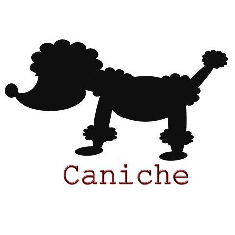 ぷーどる(Caniche)フランス語版