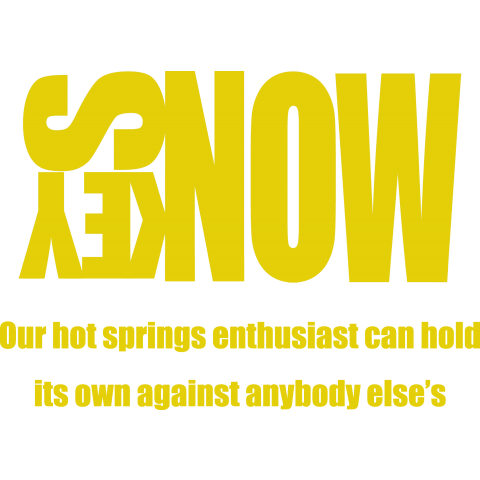 SNOW MONKEY LOGO