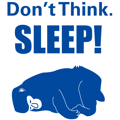 Don't Think. SLEEP!