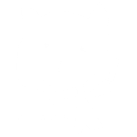 THIS IS A PEN 2