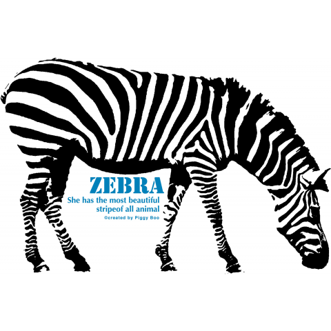 Zebra