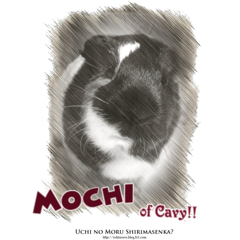 Mochi of Cavy_01.1_ClassicLogo_oneside