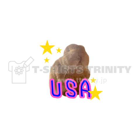 USA(うさ)