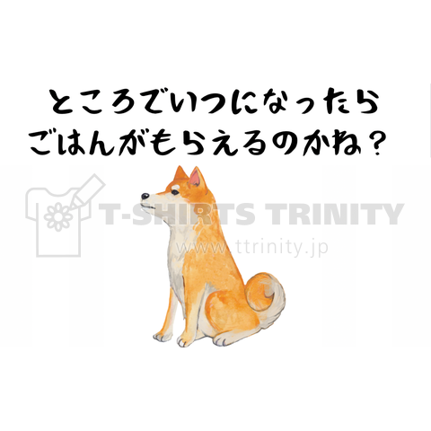 柴犬・おすわりでご飯待ち。