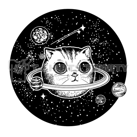 猫の惑星