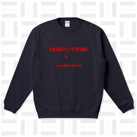 Kidney Stone ～腎臓結石～r