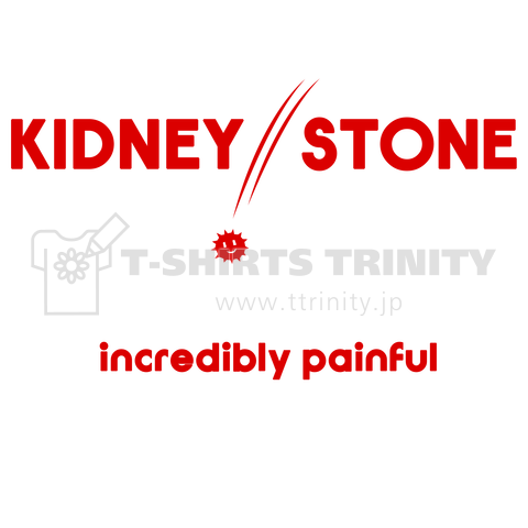 Kidney Stone ～腎臓結石～r