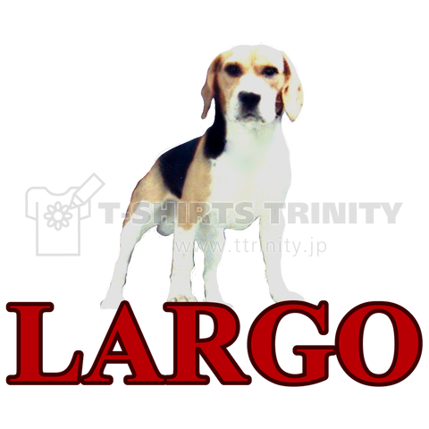 LARGOのビーグル