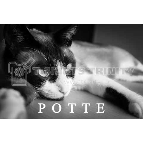 POTTE_Black_01