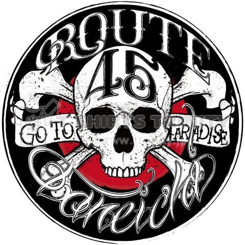 route45taneichi skull ロゴ バック