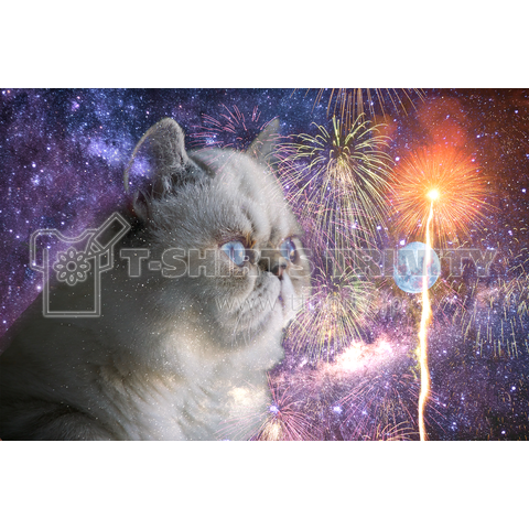 Fireworks Space Cat