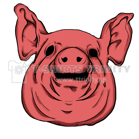 pig