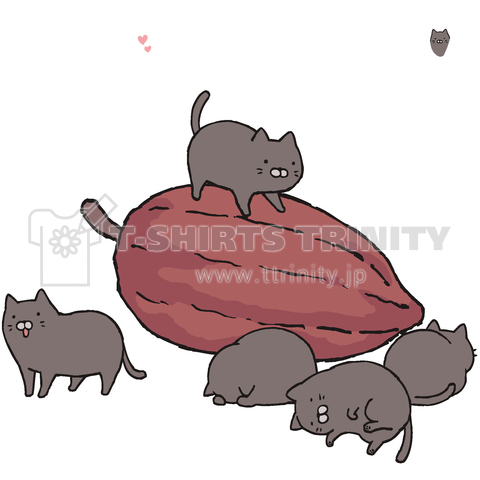 豆猫 - CACAO - ( 白文字 )