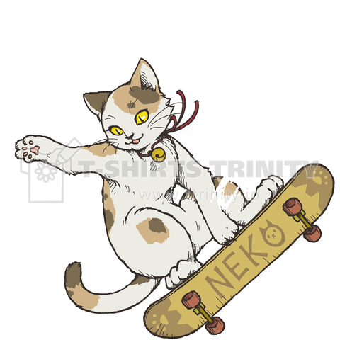 Skate cat ( 三毛:白 )