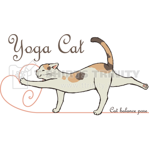 Yoga cat