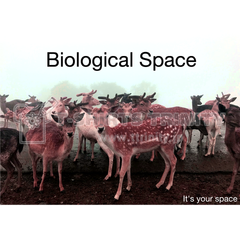 BiologicalSpace