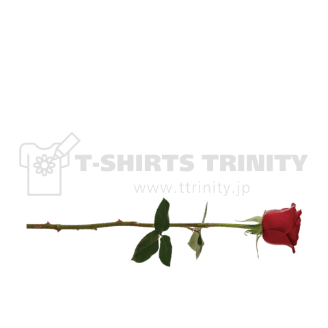 Corleone 01 B