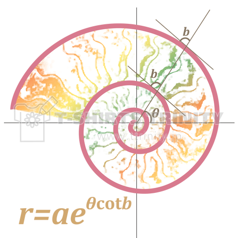 アンモナイトの対数らせん