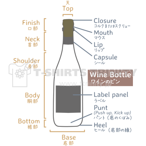ワインボトルの解剖図