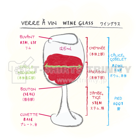 ワイングラスの解剖図 手描き風