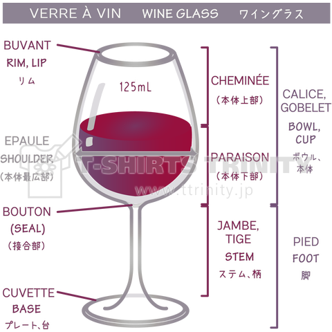 ワイングラスの解剖図 落ち着いた色合い